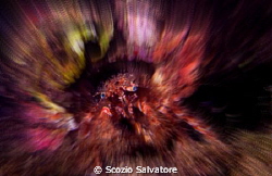 eyes by Scozio Salvatore 